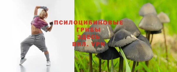 гидропоника Ростов