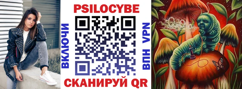 Галлюциногенные грибы GOLDEN TEACHER  Купить  Сельцо 
